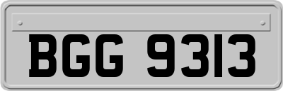 BGG9313