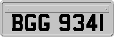 BGG9341