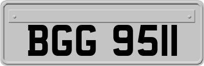 BGG9511