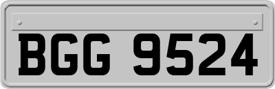 BGG9524