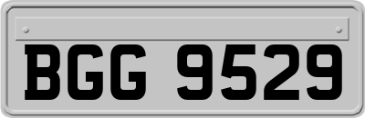 BGG9529