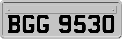 BGG9530