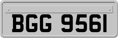 BGG9561