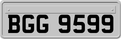 BGG9599