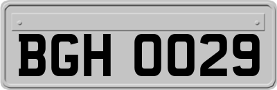 BGH0029