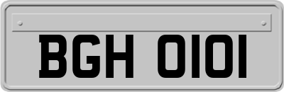 BGH0101