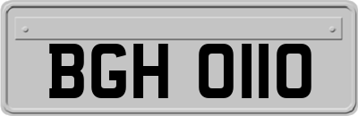 BGH0110