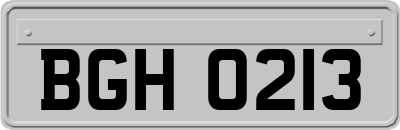 BGH0213