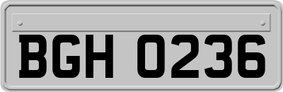 BGH0236