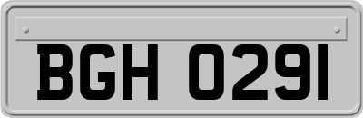 BGH0291
