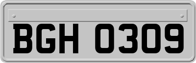 BGH0309