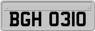 BGH0310