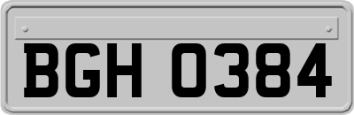 BGH0384