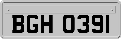 BGH0391