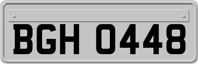 BGH0448