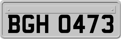 BGH0473