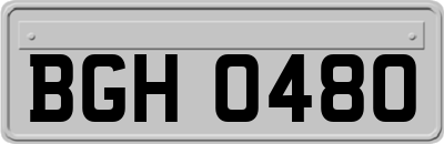 BGH0480