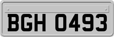 BGH0493