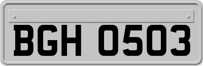 BGH0503