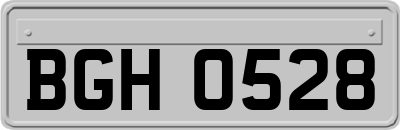 BGH0528