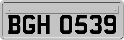 BGH0539