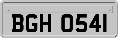 BGH0541