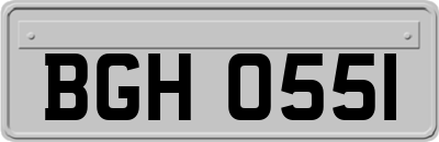 BGH0551