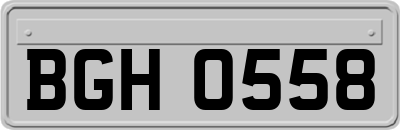 BGH0558