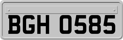 BGH0585