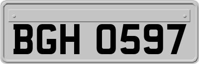 BGH0597