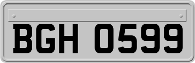 BGH0599