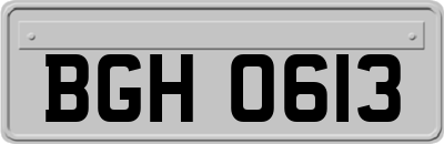 BGH0613