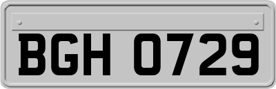 BGH0729