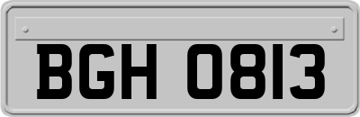 BGH0813