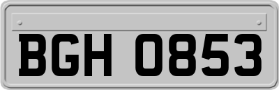 BGH0853