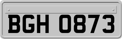 BGH0873