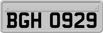 BGH0929