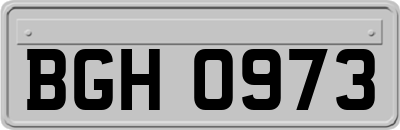 BGH0973