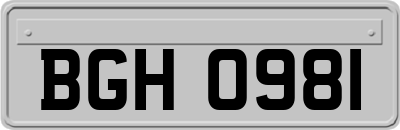 BGH0981