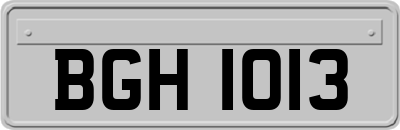 BGH1013