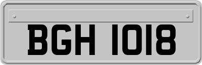 BGH1018