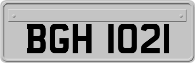 BGH1021