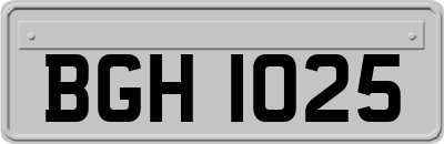 BGH1025