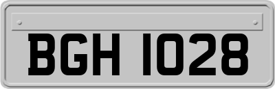 BGH1028