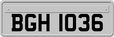 BGH1036