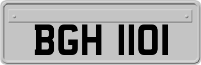 BGH1101