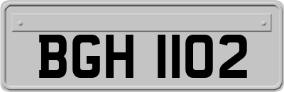 BGH1102