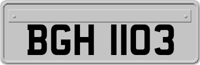 BGH1103