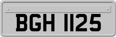BGH1125