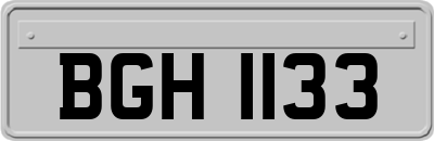 BGH1133